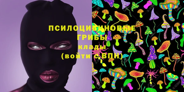 apvp Мегион
