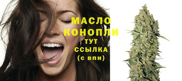 МДПВ Михайлов